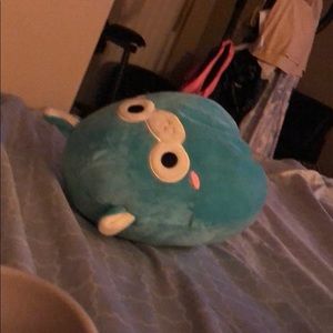 Meet your Posher, Anne